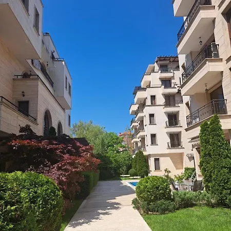 амара б3 студия Солнечный берег